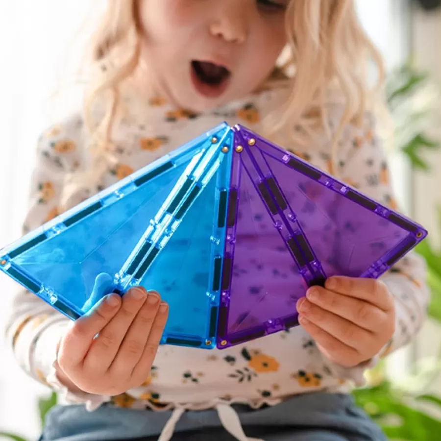 Best 30 Piece Geometry Pack Magneetblokken Educatief Speelgoed