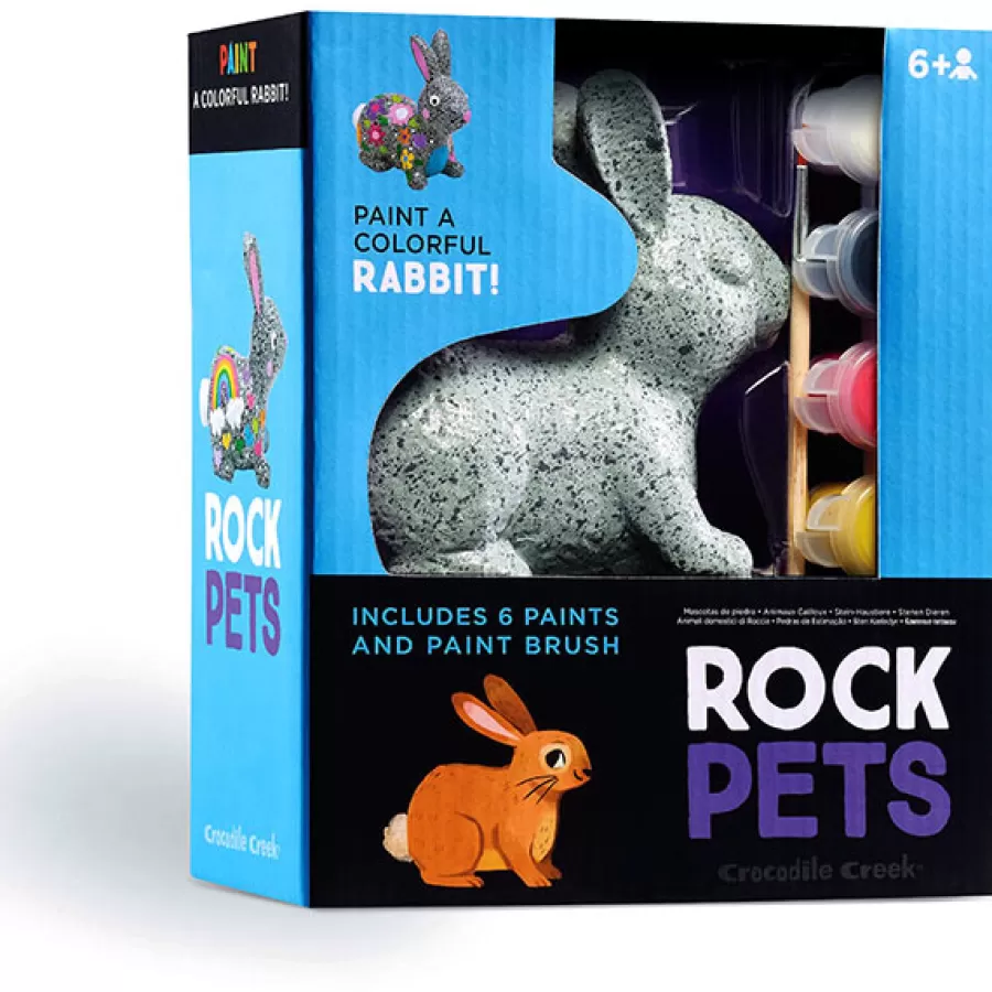 Hot Rock Pets Stenen Schilderen Bunny Knutselen En Tekenen