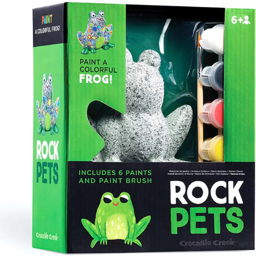 Store Rock Pets Stenen Schilderen Frog Knutselen En Tekenen