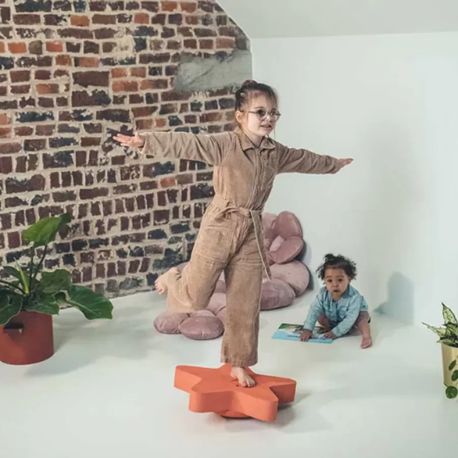 Best Zeester Balance Board Stapeltoren En Blokken