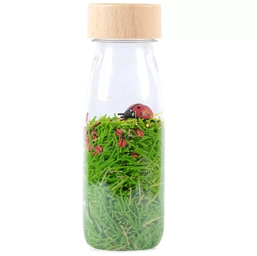 Cheap Sensorische Fles - Ladybirds Sensorisch Speelgoed